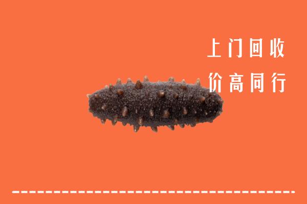高价求购：清远回收海参