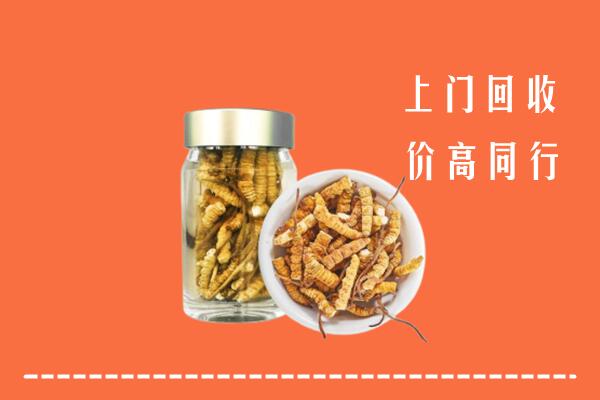 清远回收冬虫夏草